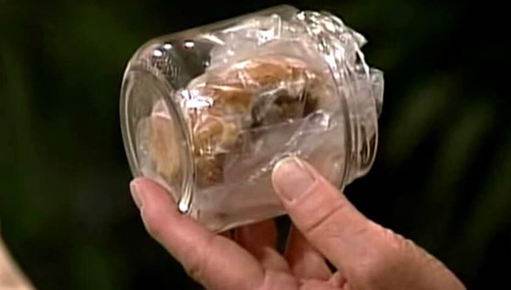 جُمّد لمدة 60 عاما.. ساندوتش الرئيس الأمريكي نيكسون يدخل التاريخ! صورة رقم 17