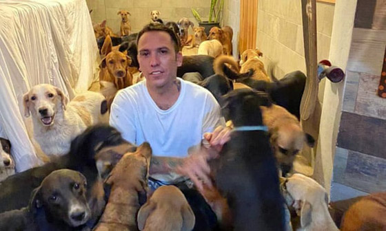 خوفا من الإعصار.. أب فتح بيته لإيواء 300 كلب واحتضنهم بغرف أبنائه صورة رقم 3 خوفا من الإعصار.. أب فتح بيته لإيواء 300 كلب واحتضنهم بغرف أبنائه صورة رقم 3