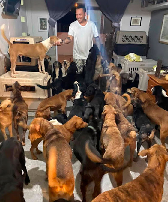 خوفا من الإعصار.. أب فتح بيته لإيواء 300 كلب واحتضنهم بغرف أبنائه صورة رقم 2 خوفا من الإعصار.. أب فتح بيته لإيواء 300 كلب واحتضنهم بغرف أبنائه صورة رقم 2