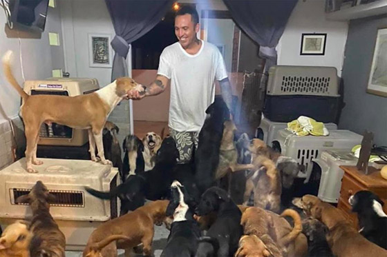 خوفا من الإعصار.. أب فتح بيته لإيواء 300 كلب واحتضنهم بغرف أبنائه صورة رقم 11 خوفا من الإعصار.. أب فتح بيته لإيواء 300 كلب واحتضنهم بغرف أبنائه صورة رقم 11