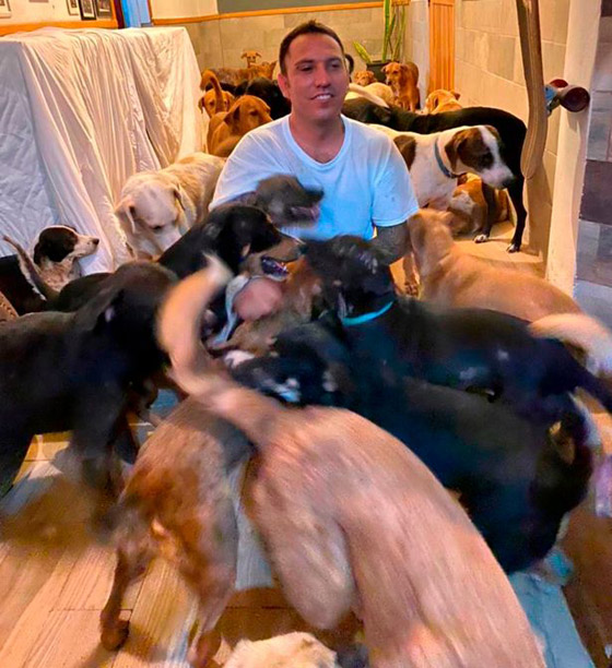 خوفا من الإعصار.. أب فتح بيته لإيواء 300 كلب واحتضنهم بغرف أبنائه صورة رقم 13 خوفا من الإعصار.. أب فتح بيته لإيواء 300 كلب واحتضنهم بغرف أبنائه صورة رقم 13