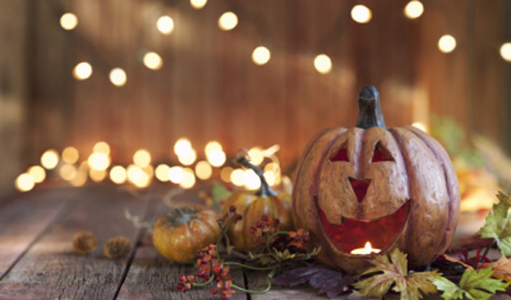 كل ما تريد معرفته عن 