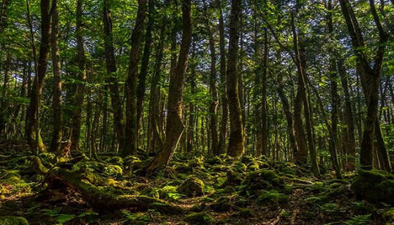 ليست خيالا.. تعرفوا إلى أكثر الأماكن رعبا وأخطرها حول العالم! صور صورة رقم 1