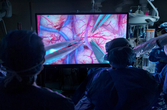 حدث طبي نادر أصاب العلماء بالذهول.. اكتشاف أعضاء جديدة في الإنسان! صورة رقم 5