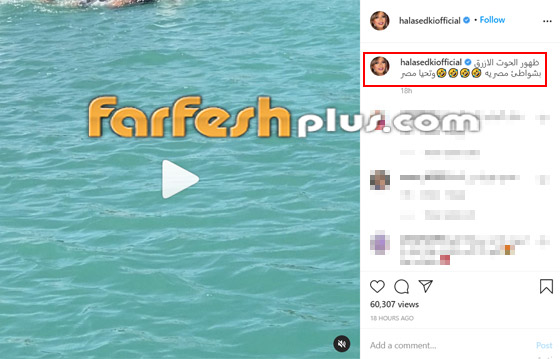 فيديو هالة صدقي بالمايوه تستعرض مهارتها بالسباحة صورة رقم 1 فيديو هالة صدقي بالمايوه تستعرض مهارتها بالسباحة صورة رقم 1
