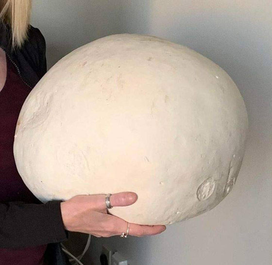 صور مثيرة لأغرب الأحجام غير المتوقعة صورة رقم 1