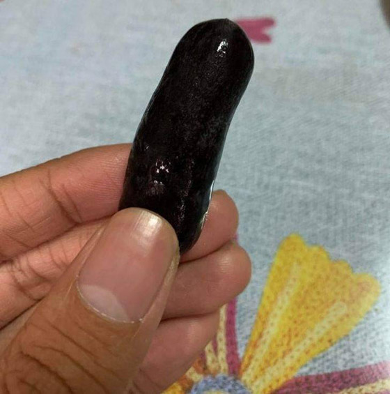 صور مثيرة لأغرب الأحجام غير المتوقعة صورة رقم 12