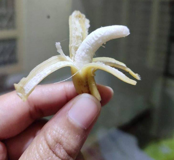 صور مثيرة لأغرب الأحجام غير المتوقعة صورة رقم 14