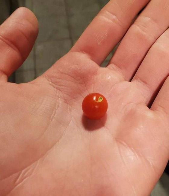 صور مثيرة لأغرب الأحجام غير المتوقعة صورة رقم 3