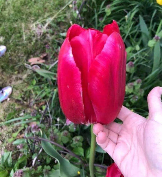 صور مثيرة لأغرب الأحجام غير المتوقعة صورة رقم 6