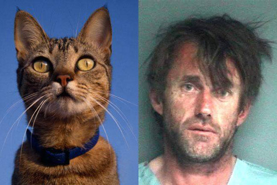 أغرب الجرائم وألغازها.. عندما يسقط الجاني بطرق غير متوقعة! صورة رقم 1 أغرب الجرائم وألغازها.. عندما يسقط الجاني بطرق غير متوقعة! صورة رقم 1