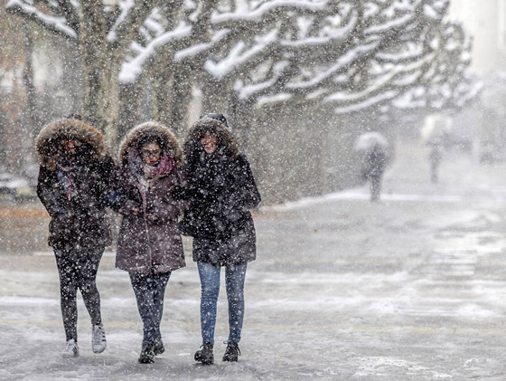  ���� ��� 4 - ������� ������ ���� ���� ������