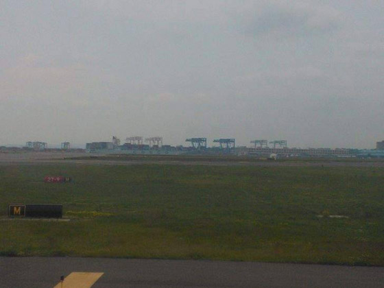 صور ملفتة للأنظار التقطت دون قصد صورة رقم 12