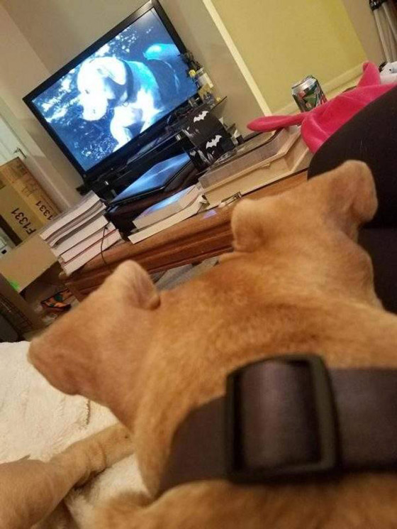 صور ملفتة للأنظار التقطت دون قصد صورة رقم 6