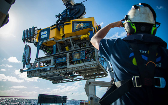 برج الشفرة: اكتشاف جبل مرجاني هائل في أعماق البحر ينافس برج خليفة صورة رقم 2