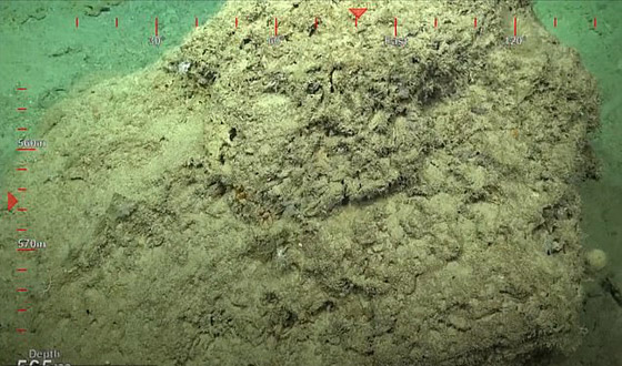 برج الشفرة: اكتشاف جبل مرجاني هائل في أعماق البحر ينافس برج خليفة صورة رقم 6