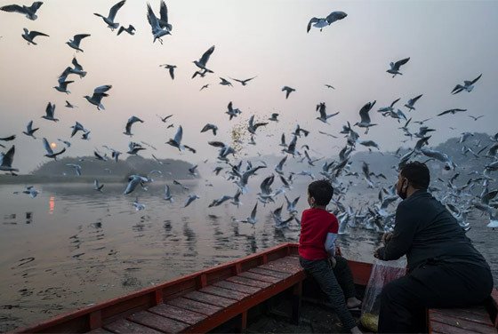 أبرز صور الأسبوع: إليكم أهم الأحداث المصورة من زوايا العالم المختلفة صورة رقم 5 أبرز صور الأسبوع: إليكم أهم الأحداث المصورة من زوايا العالم المختلفة صورة رقم 5