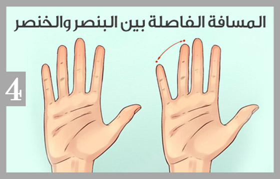  ���� ��� 4 - ������ �����: ������� �� ����� ������� ������� ��� ����� ����� ����