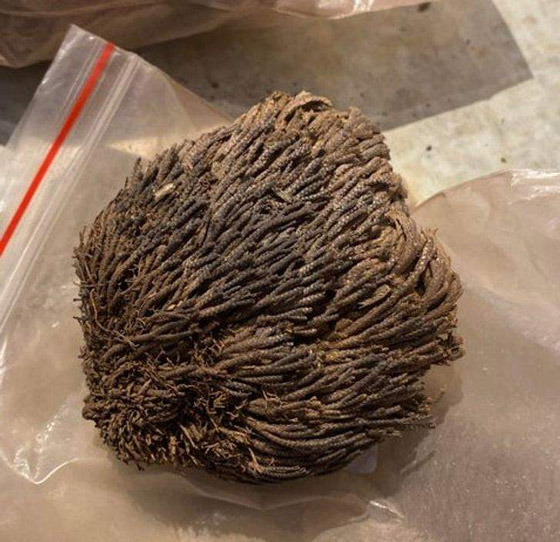 أغرب الأشياء التي عثر عليها البشر صورة رقم 5