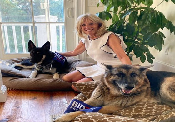 انتخاب بايدن يعيد للبيت الأبيض حيوانا أليفا غاب عنه لسنوات  صورة رقم 1