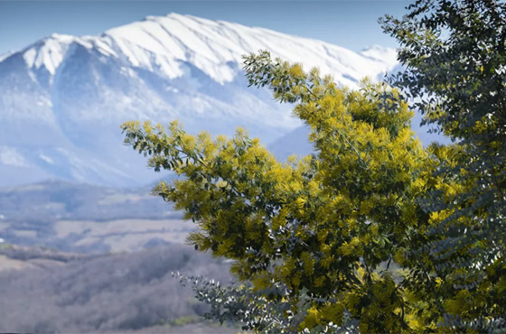 حيث تلتقي السماء بالأرض.. مناظر طبيعية خلابة ووجهات سياحية في روسيا صورة رقم 7