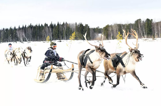 حيث تلتقي السماء بالأرض.. مناظر طبيعية خلابة ووجهات سياحية في روسيا صورة رقم 19