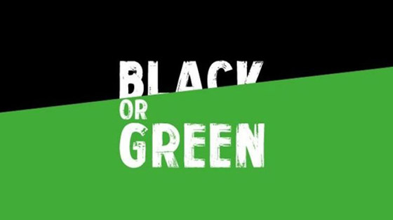 هل يخلع الجمعة الأسود يوم الحسومات الضخمة ثوبه ويرتدي الأخضر قريبا؟ صورة رقم 4