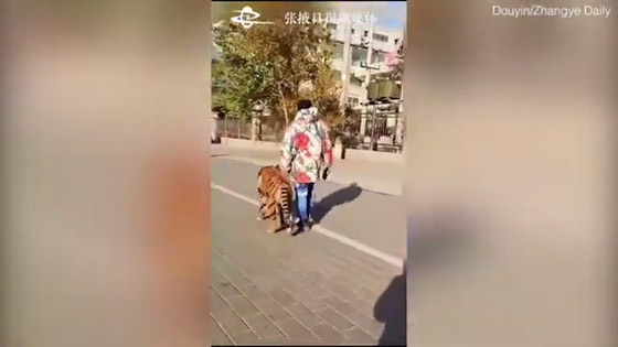 واقعة غريبة... رجل يحول كلبه إلى 