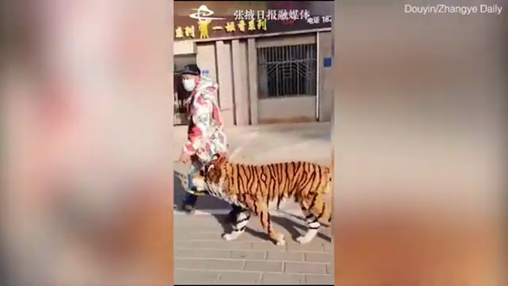 واقعة غريبة... رجل يحول كلبه إلى 