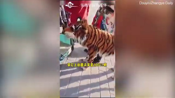 واقعة غريبة... رجل يحول كلبه إلى 