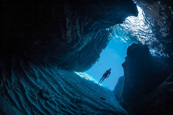 بالصور: مشاهد رائعة من الحياة البحرية.. فازت بمسابقة عالمية للتصوير صورة رقم 6