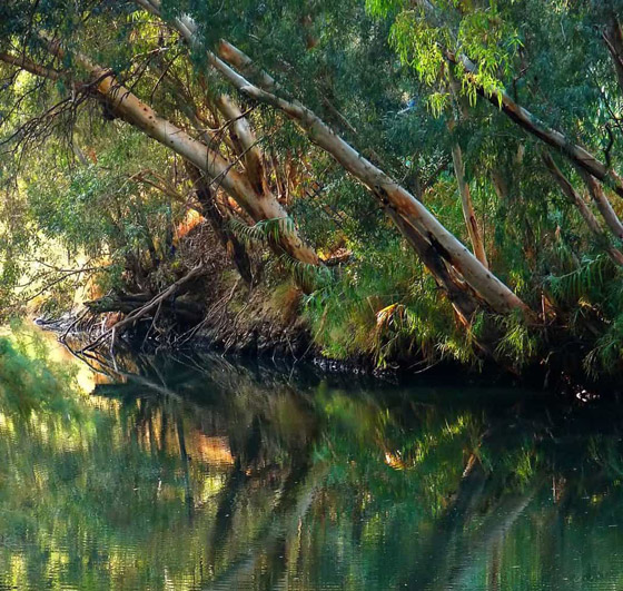 هل تعلم لماذا سُميت الدول العربية بهذه الأسماء؟ تعرفوا لأصلها وتاريخها صورة رقم 6