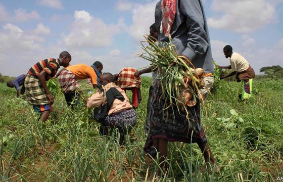 هل تعلم لماذا سُميت الدول العربية بهذه الأسماء؟ تعرفوا لأصلها وتاريخها صورة رقم 21