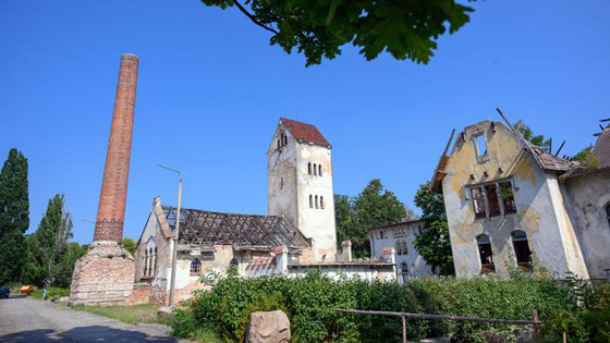 بالصور: إليكم 10 أماكن جميلة مهجورة في ألمانيا أعادت الطبيعة إحياءها صورة رقم 3