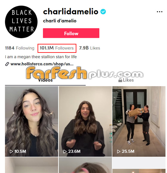 تشارلي داميليو (16 عاما) أول نجمة تجمع 100 مليون متابع على تيك توك صورة رقم 1 تشارلي داميليو (16 عاما) أول نجمة تجمع 100 مليون متابع على تيك توك صورة رقم 1