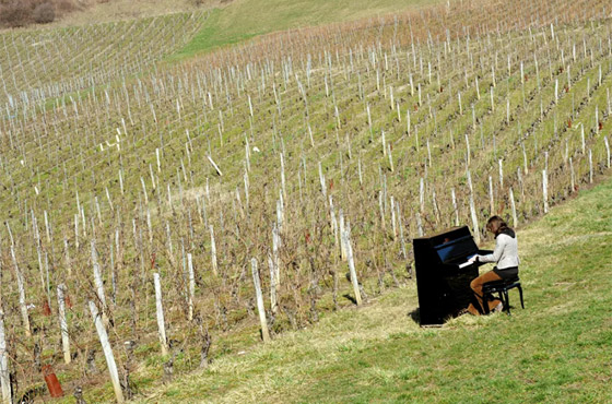 بيانو معلق بالهواء وبين القرود.. إليكم أكثر عروض البيانو غرابة في العالم صورة رقم 11