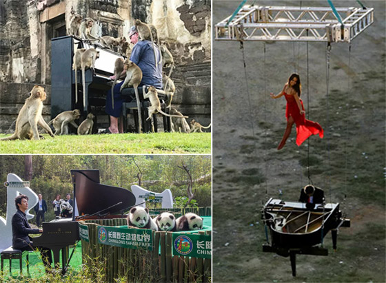 بيانو معلق بالهواء وبين القرود.. إليكم أكثر عروض البيانو غرابة في العالم صورة رقم 1