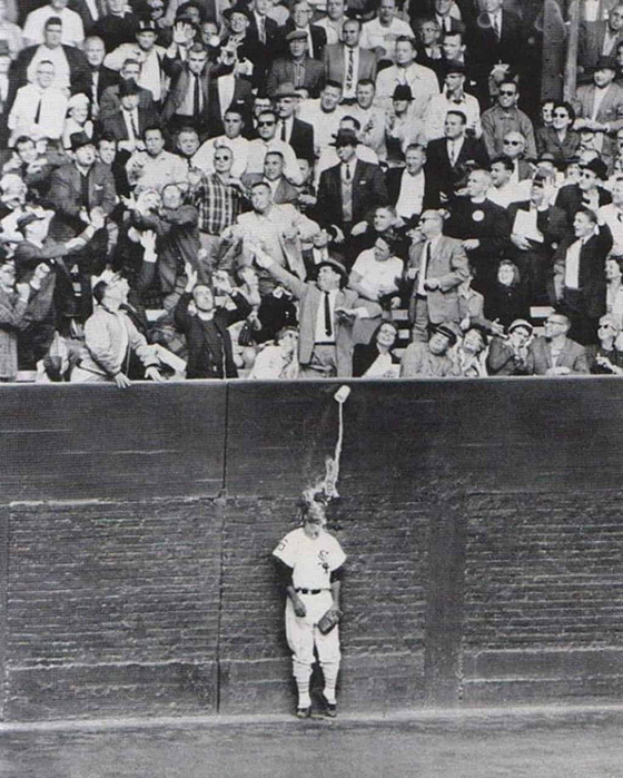 إليكم 10 صور التقطت في توقيت مثالي مع قصة كل واحدة منها! صورة رقم 1