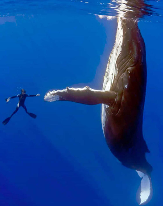 إليكم 10 صور التقطت في توقيت مثالي مع قصة كل واحدة منها! صورة رقم 10