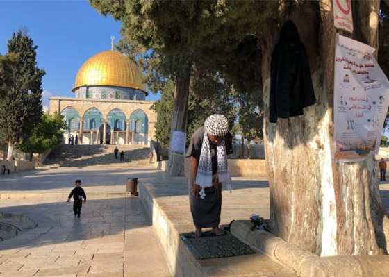 قصة الجنوب إفريقي تكالا الذي وصل القدس مشيا برحلة استغرقت عامين! صورة رقم 7 قصة الجنوب إفريقي تكالا الذي وصل القدس مشيا برحلة استغرقت عامين! صورة رقم 7