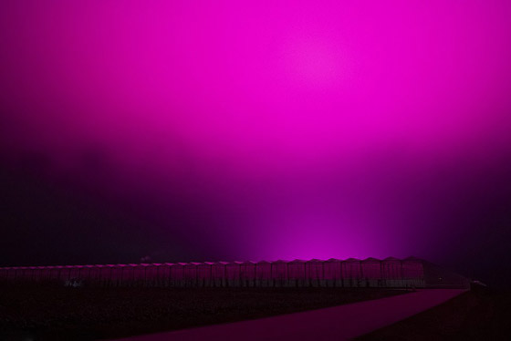 السماء البنفسجية تفجع بلدة بأكملها.. والسبب لا يخطر على بال! صورة رقم 3