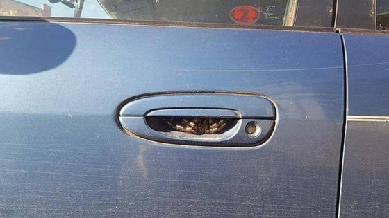 همت بفتح باب سيارتها فاكتشفت 