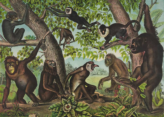 بالصور: 7 حيوانات لا يمكنكم الوثوق بها فهي تجيد الكذب! صورة رقم 7 بالصور: 7 حيوانات لا يمكنكم الوثوق بها فهي تجيد الكذب! صورة رقم 7