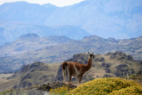 بالصور: تعرفوا إلى أفضل وجهات سفر سياحية في العالم لعام 2020 صورة رقم 6