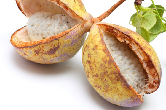 اليكم أغرب أنواع الفواكه واسمائها صورة رقم 13