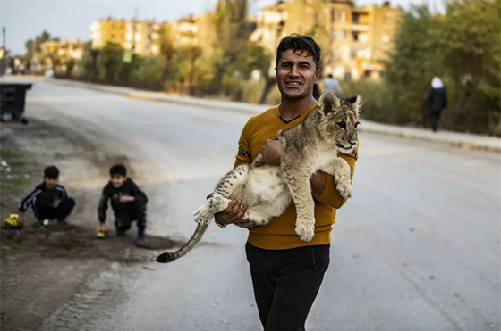 أبرز صور الأسبوع: إليكم أهم الأحداث المصورة من مختلف بقاع العالم صورة رقم 10