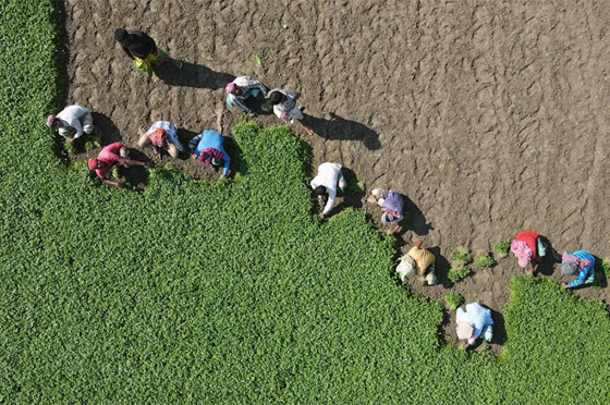 أبرز صور الأسبوع: إليكم أهم الأحداث المصورة من مختلف بقاع العالم صورة رقم 16