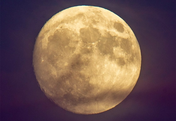 وكالة الفضاء ناسا تشتري تربة قمرية بسعر لا يصدق! صورة رقم 7