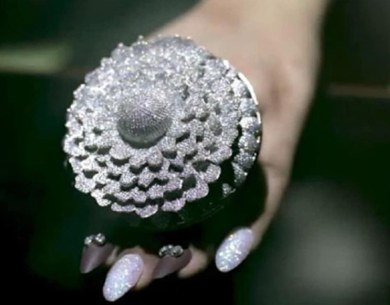 بأكثر من 12 ألف ماسة.. خاتم يدخل موسوعة غينيس (صور) صورة رقم 11