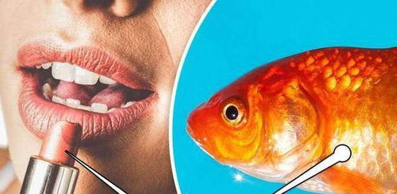 الباندا تدعي الحمل.. وحقائق عجيبة عن البشر والحيوانات صورة رقم 1